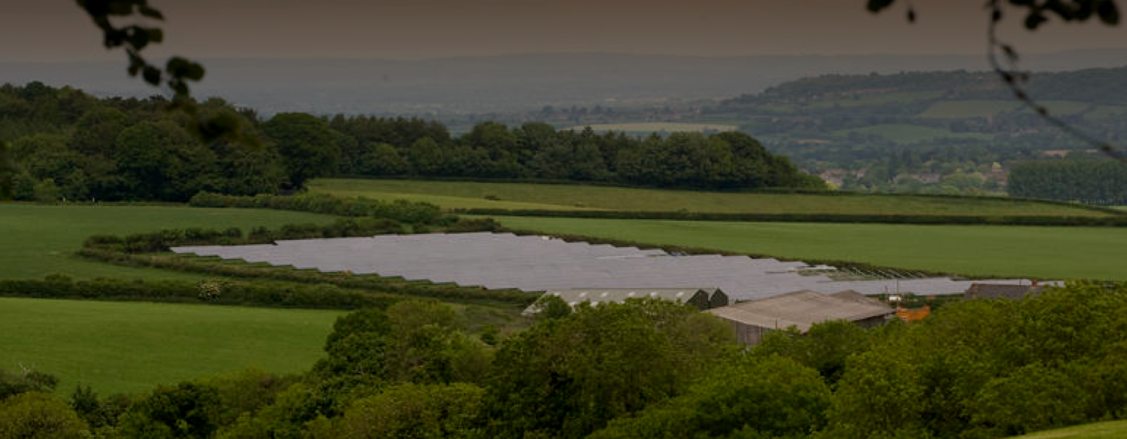 Organic Farming – A H Warren Trust | Nature Friendly Farming
