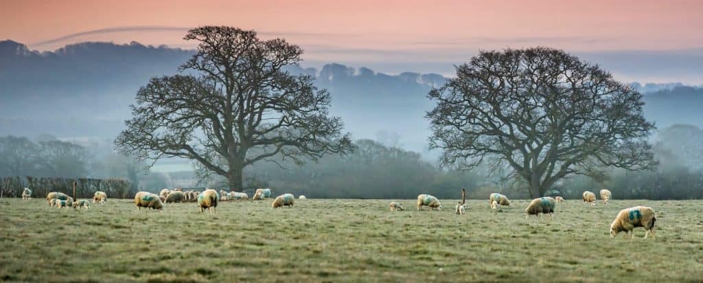 A H Warren | Responsible Farming Practices | Sustainable Farming