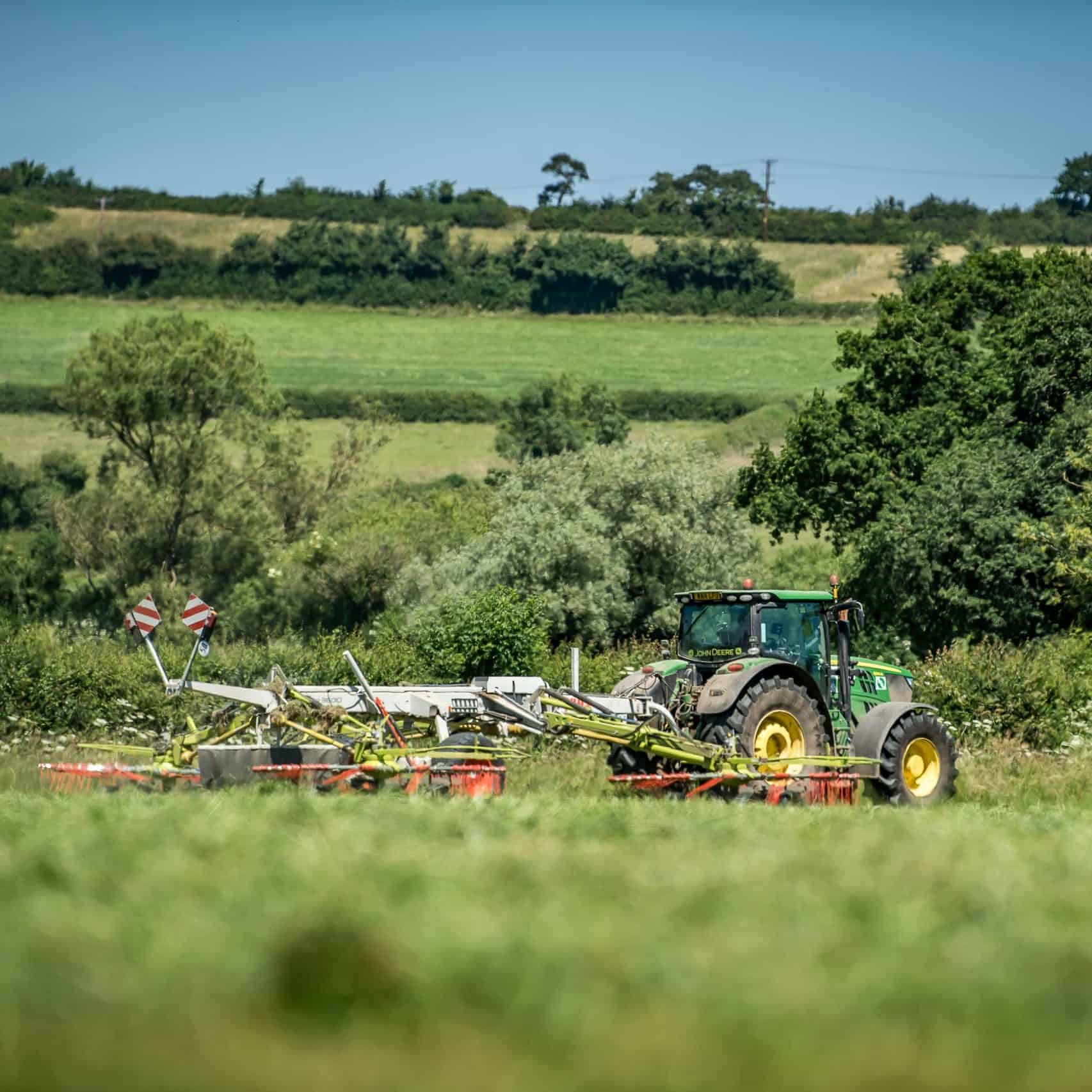 Tractor in field raking organic grass