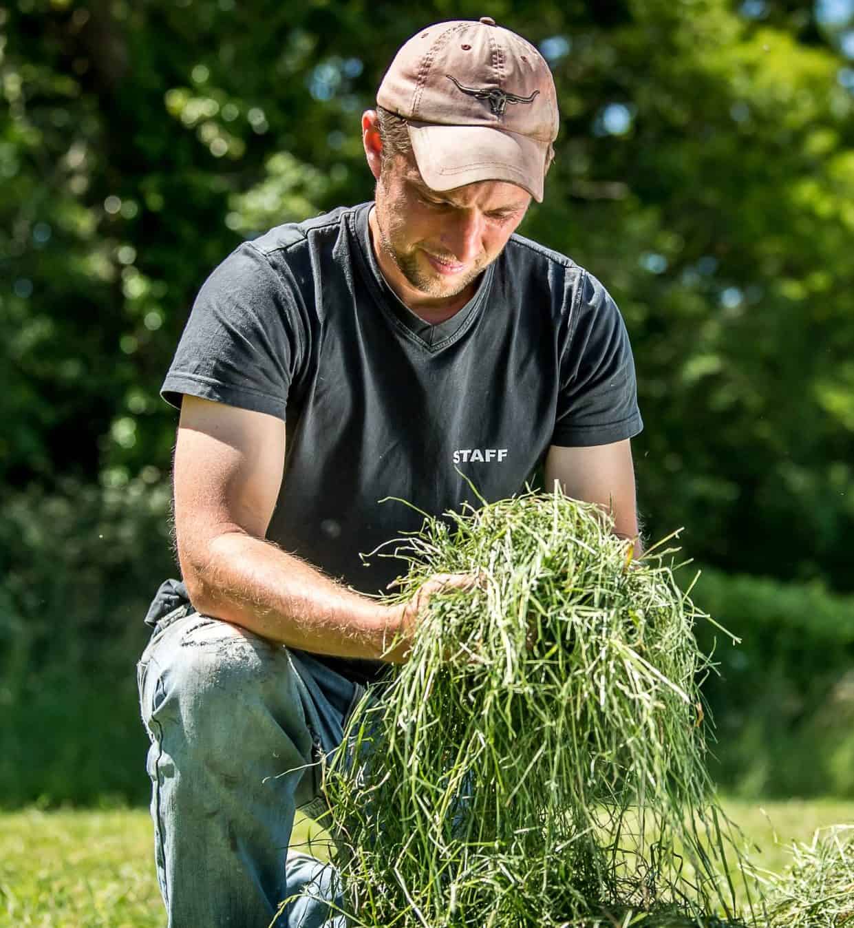 Farmer holds organic grass