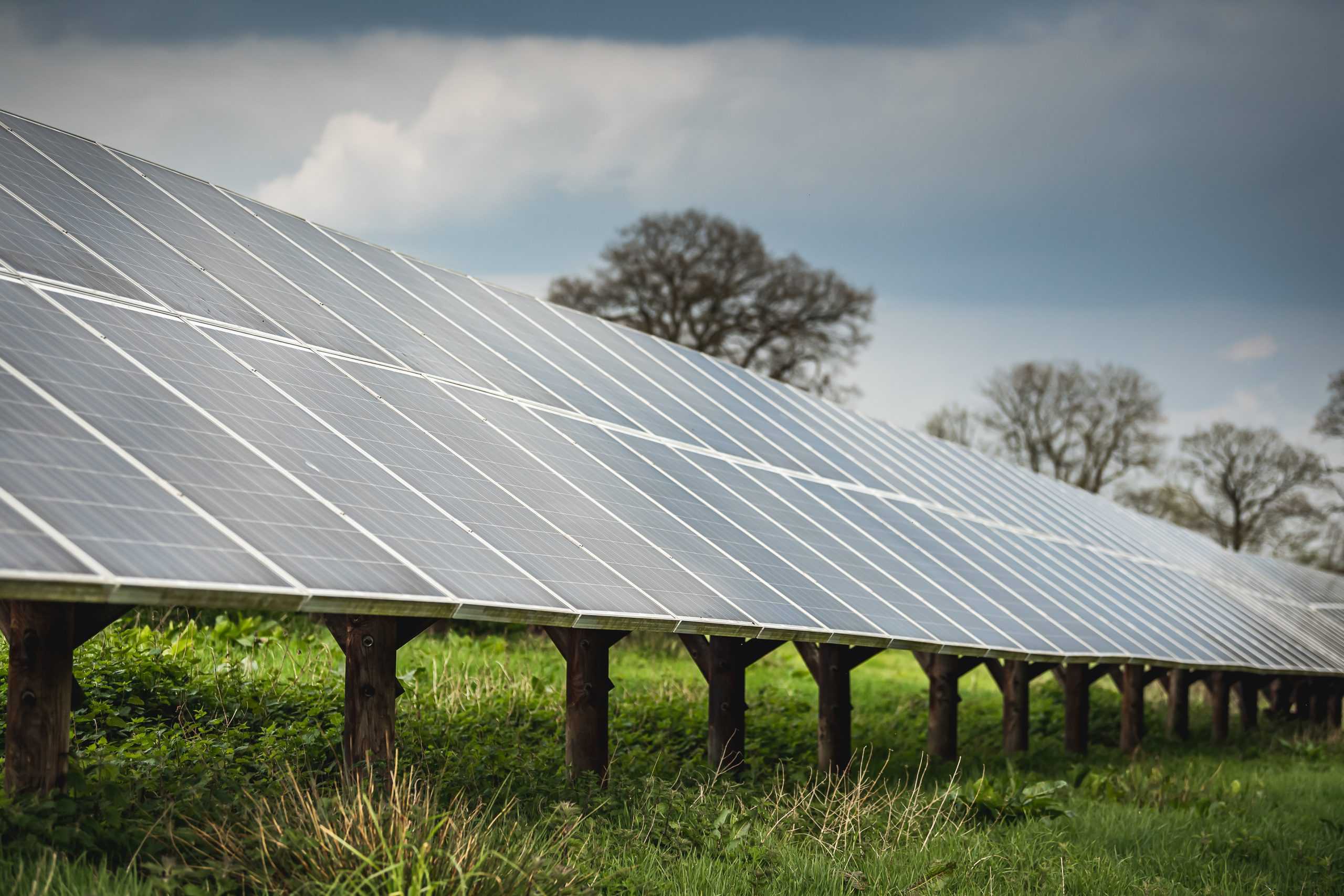Solar panels in grass field