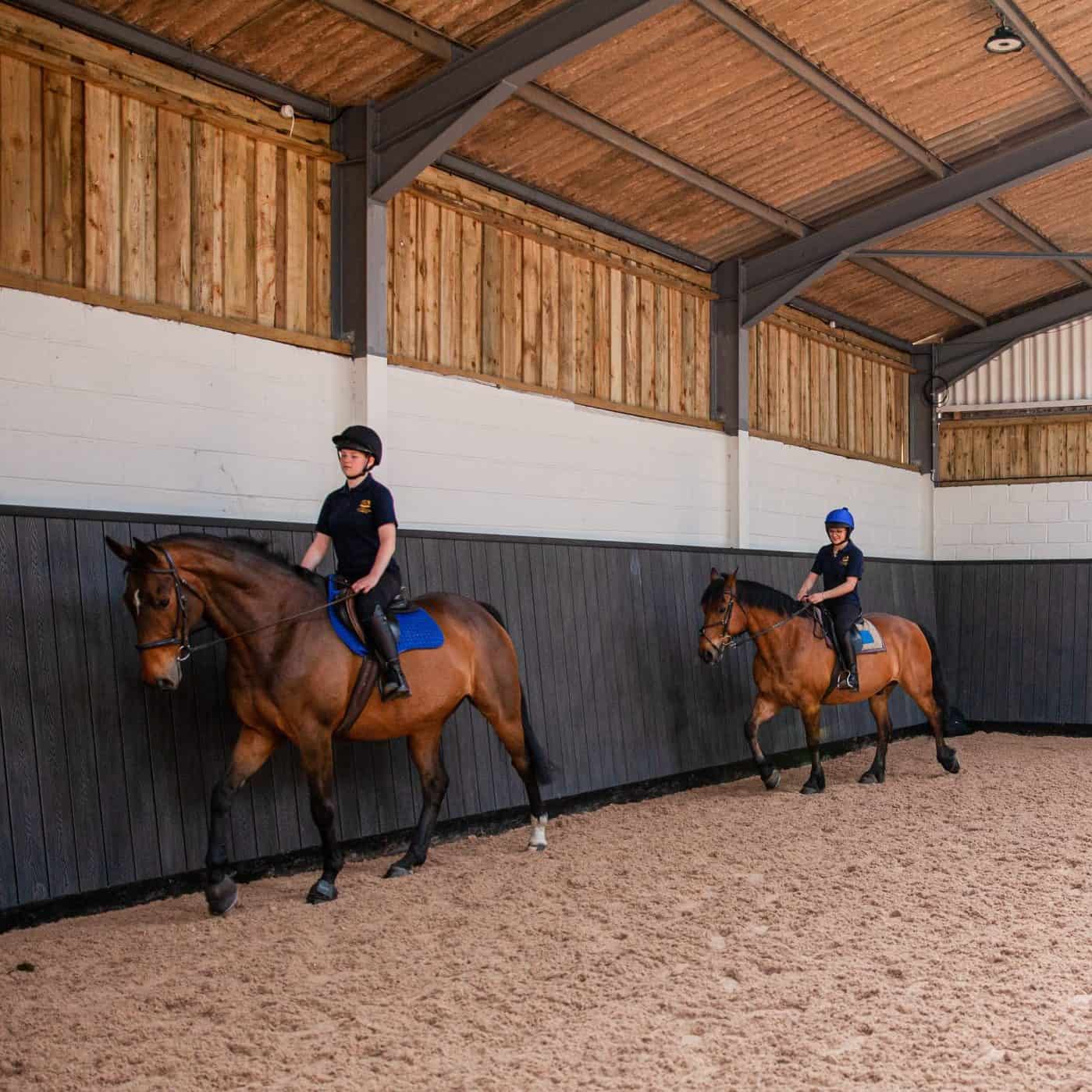 Two horses being ridden in indoor school
