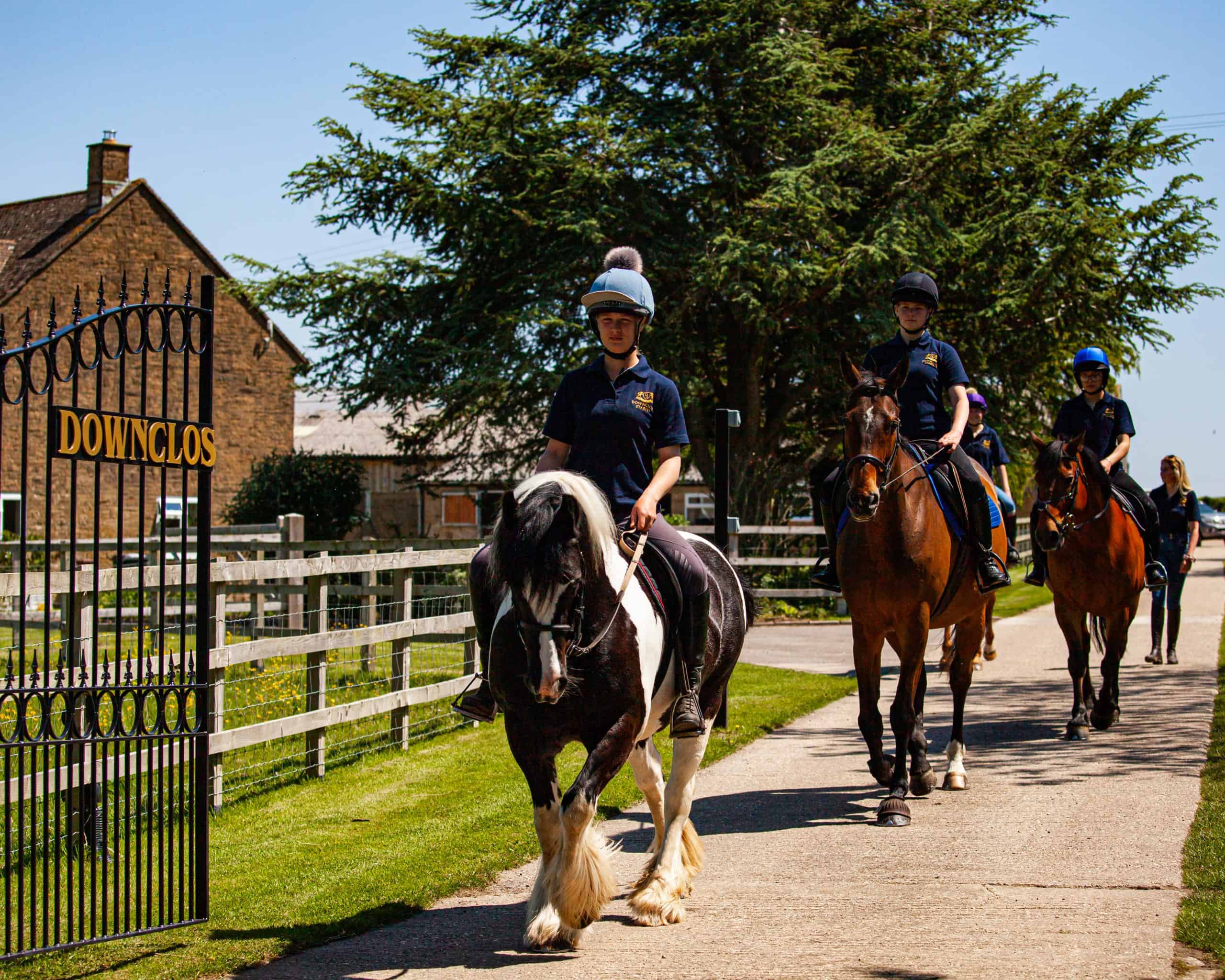 Horses hacking out of gate at Downclose Stables
