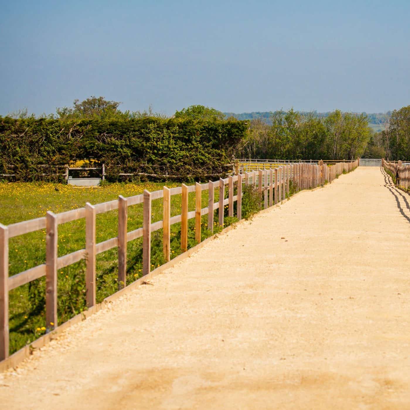 Long fenced track between paddocks