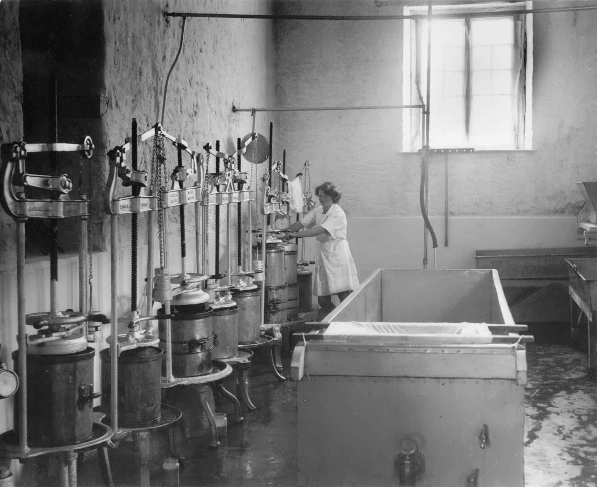 Woman working on manual cheese presses