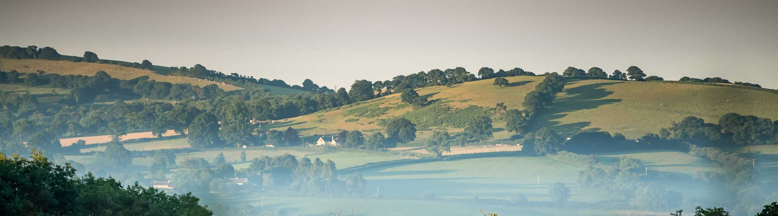 The Coombe Farm valley